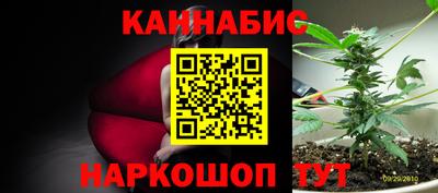 трава Будённовск