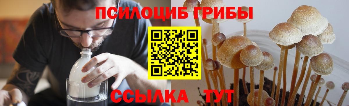 Копейск  Псилоцибиновые грибы GOLDEN TEACHER  Вход с VPN 