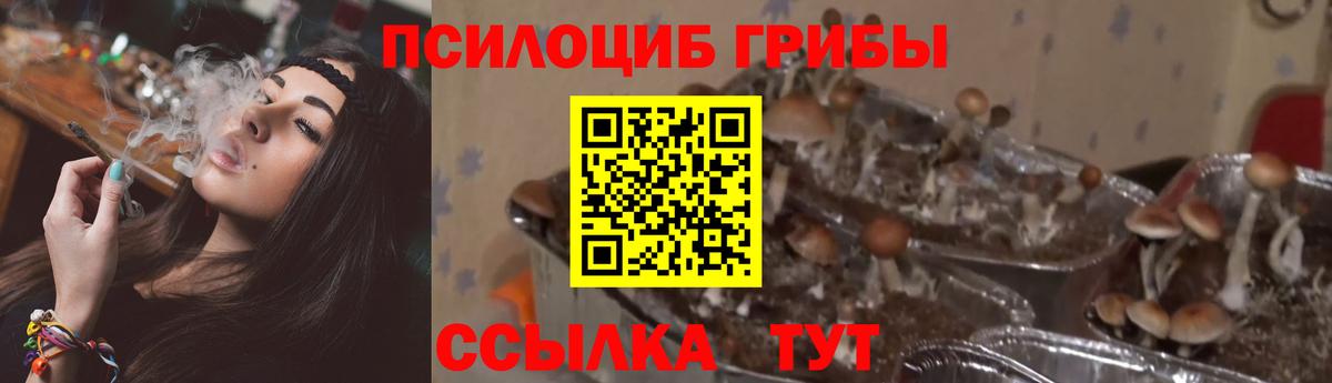 Галлюциногенные грибы ЛСД Копейск